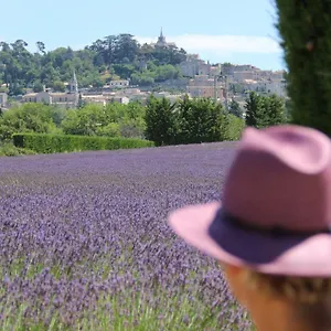 https://la-maison-de-nanouche.fr-provencehotel.com